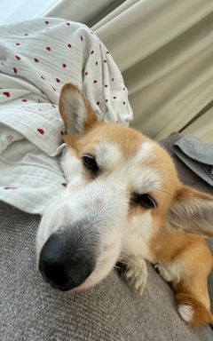 The Weight of Morning Light  The morning light inх