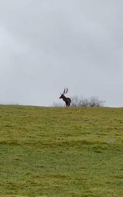 Yury's Wonderful Club