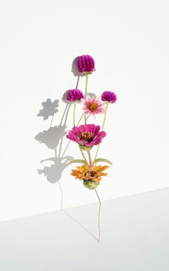 Auto's Wonderful Club