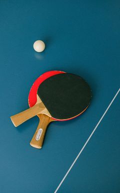 Play ping pong cover