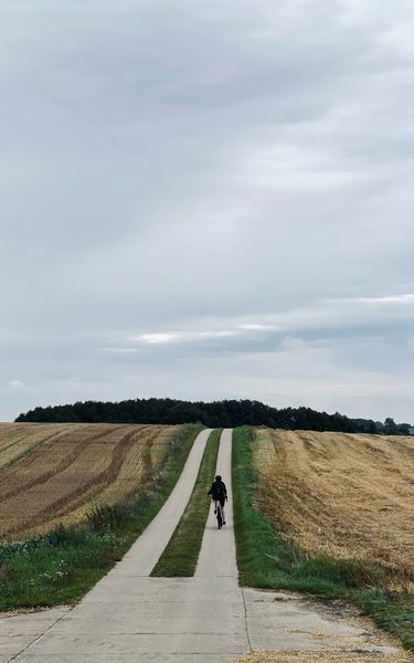 3 image in gallery