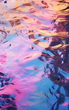 Vova's Wonderful Club