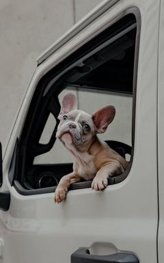 Cl