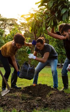 Tree Planting cover