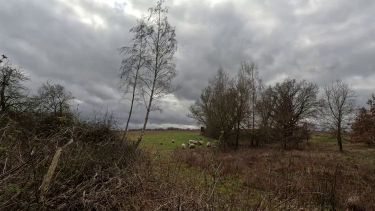 3 image in gallery