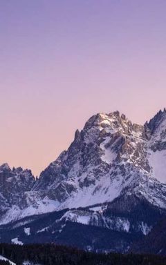 Dari's Wonderful Club