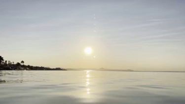 1 image in gallery