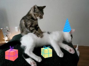1 image in gallery